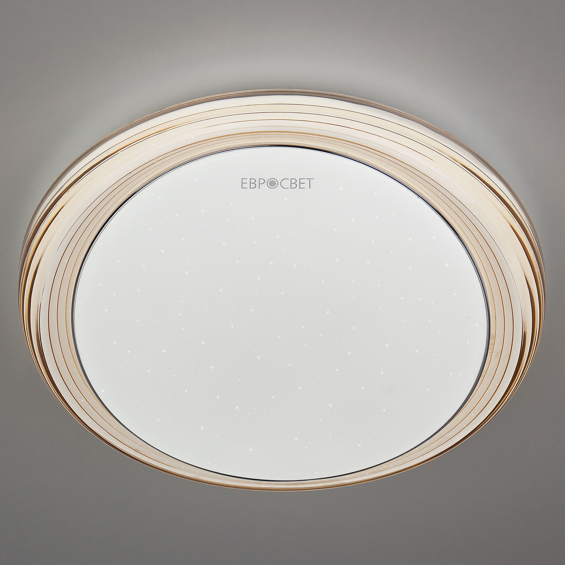 Светильник потолочный Elektrostandart Universal 40007/1 LED кофе