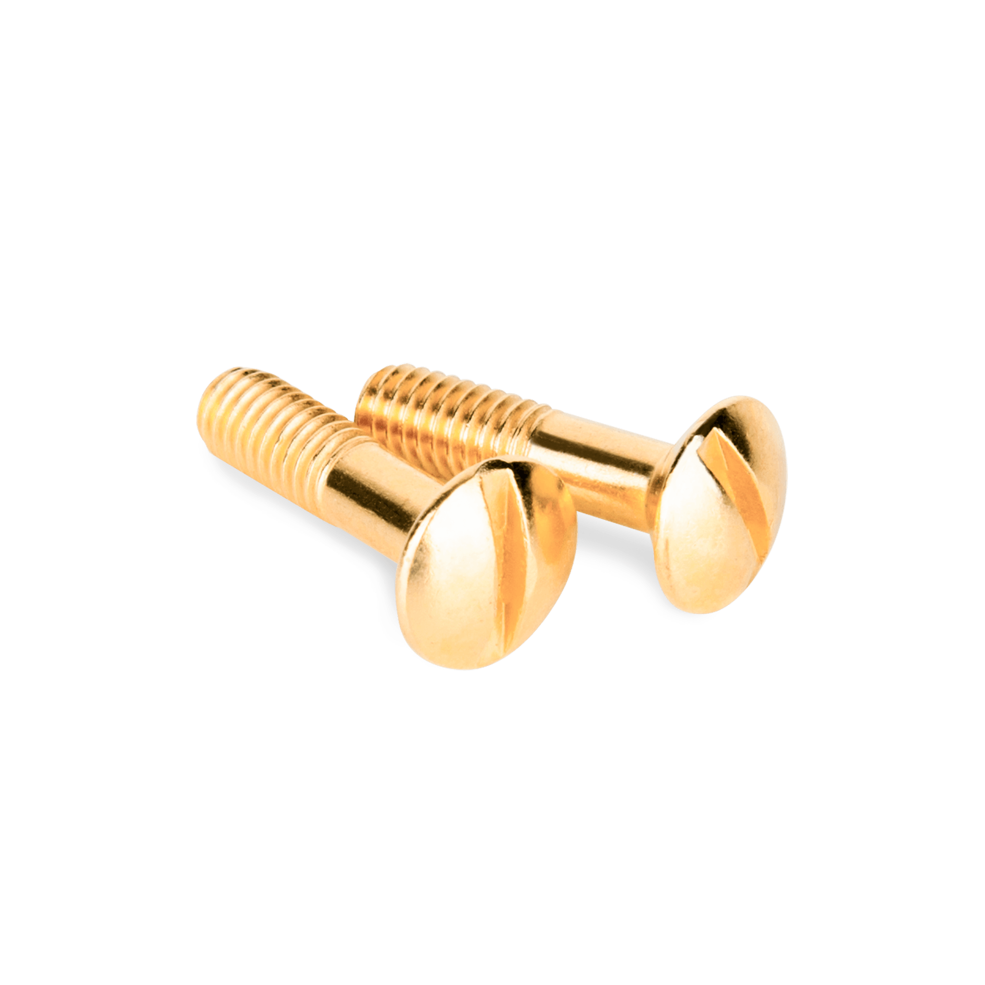 Werkel WL18-22-01/ Винты для распределительной коробки/TV розетки 2 шт. (золото) Ретро