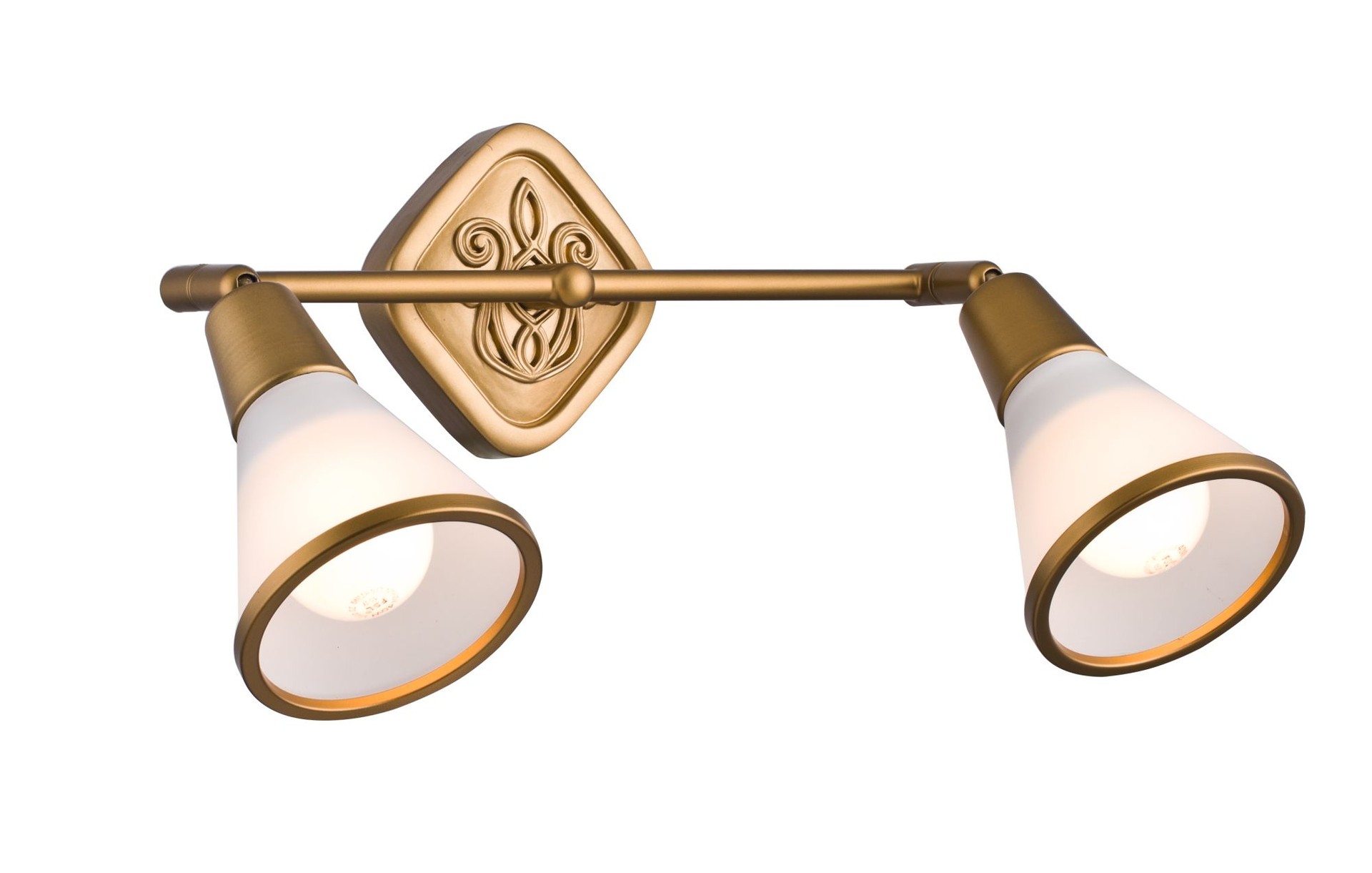 Светильник спот Maytoni Luther ECO008-02-G