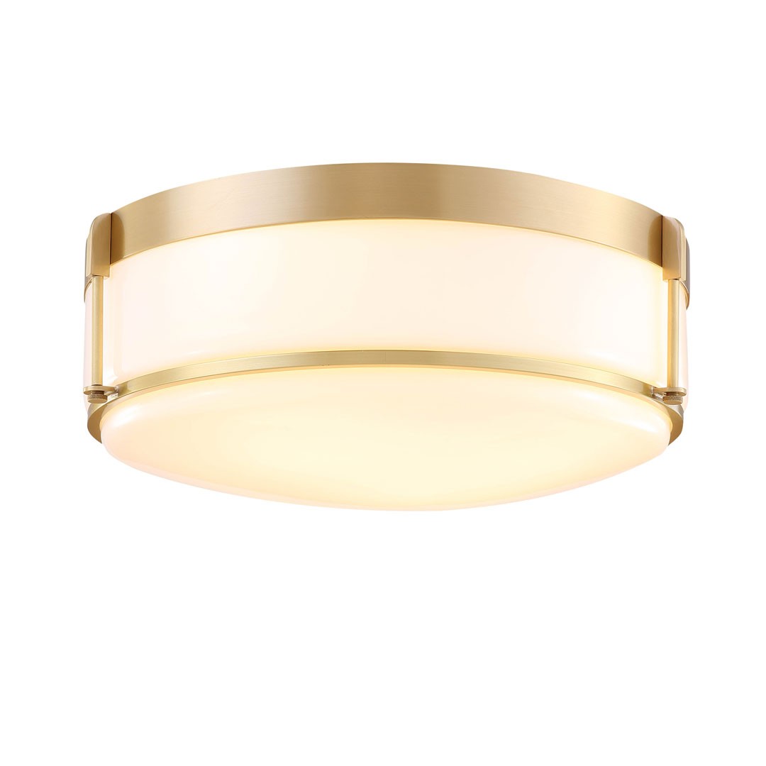 Светильник потолочный Cloyd Satter 10193