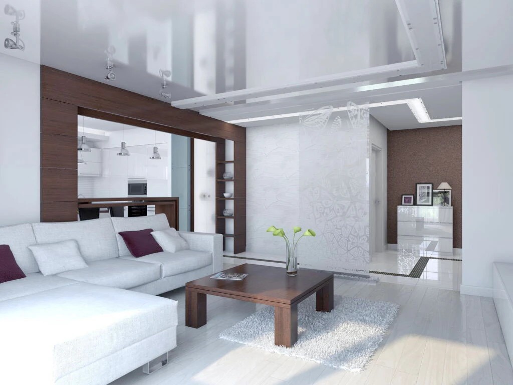 КВАРТИРА НА УЛИЦЕ ПРИТЫЦКОГО