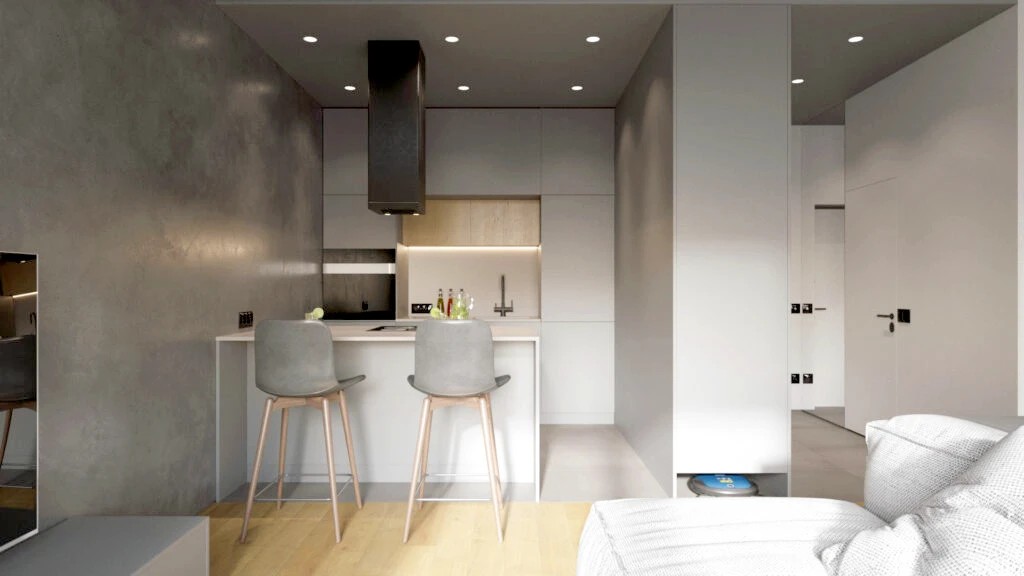 ОДНОКОМНАТНАЯ КВАРТИРА-СТУДИЯ В МИНСКЕ