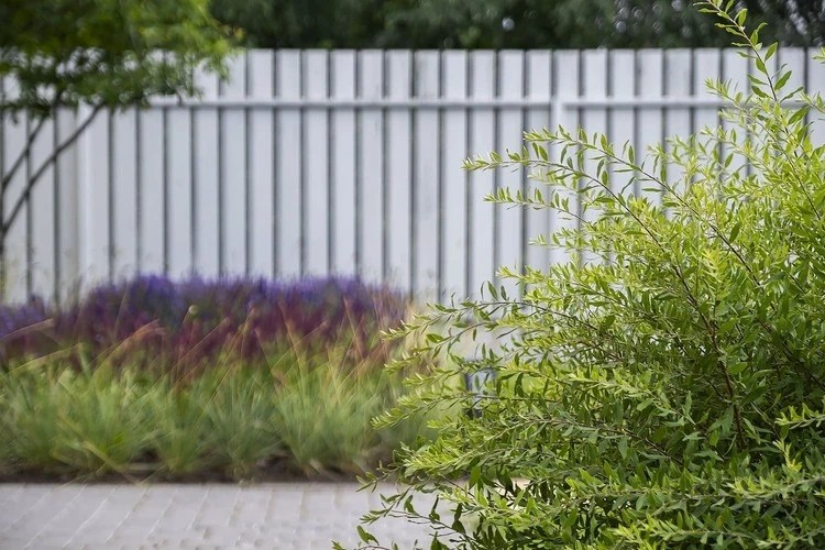 ЛЕТНИЙ БРИЗ