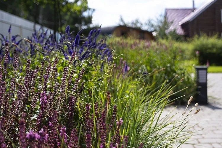 ЛЕТНИЙ БРИЗ