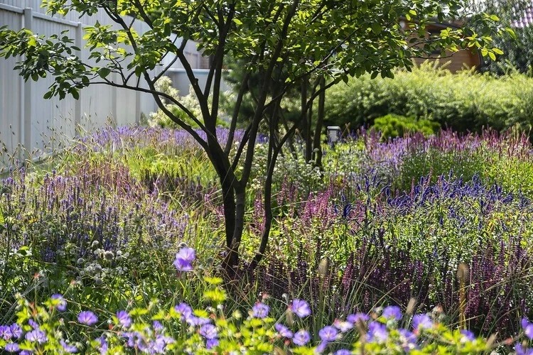 ЛЕТНИЙ БРИЗ