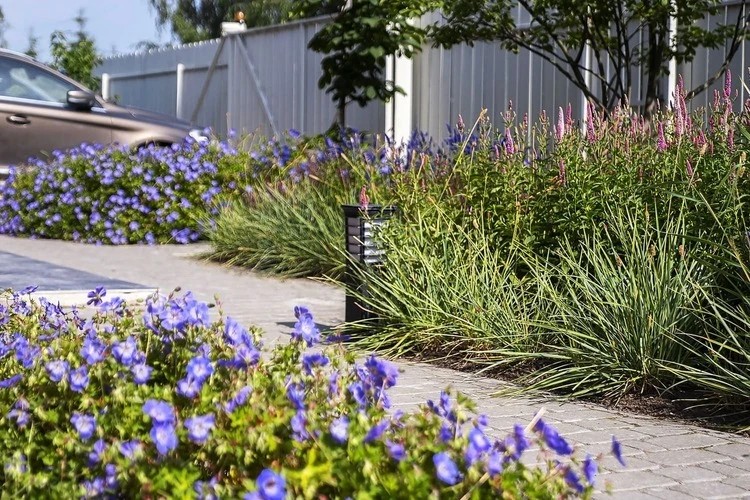 ЛЕТНИЙ БРИЗ