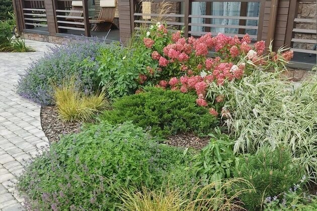 ШЕЛЕСТ СОЛНЦА