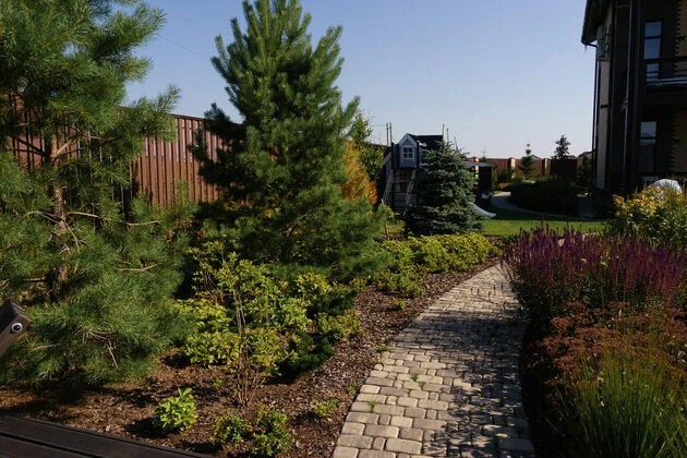 ШЕЛЕСТ СОЛНЦА