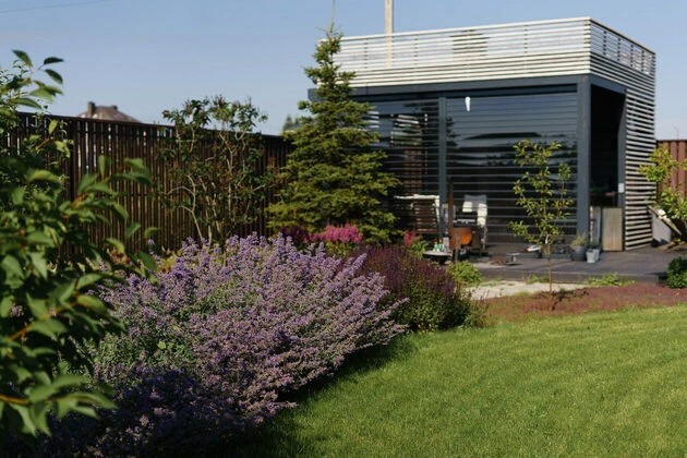 ШЕЛЕСТ СОЛНЦА