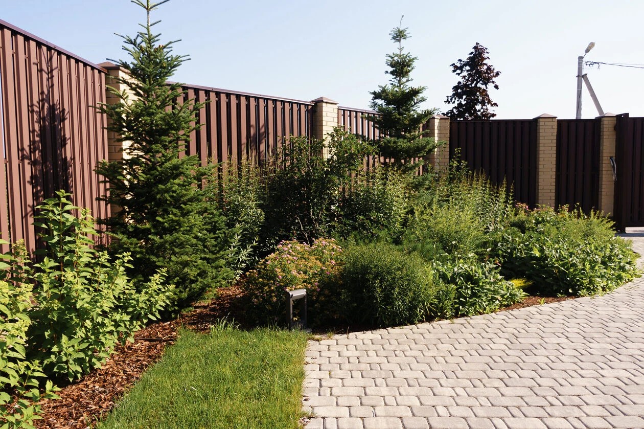 ШЕЛЕСТ СОЛНЦА