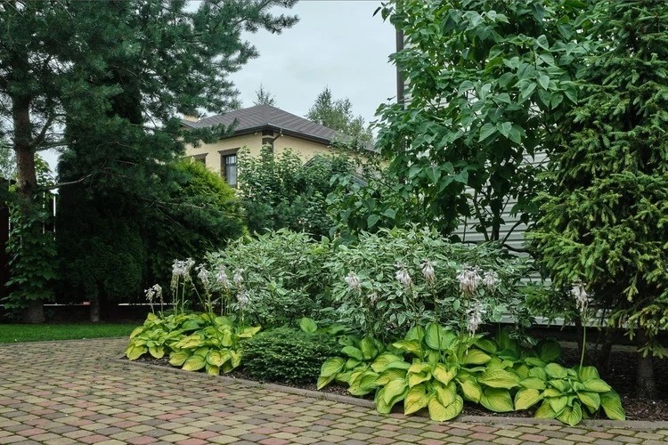 ВЕТЕР ПЕРЕМЕН