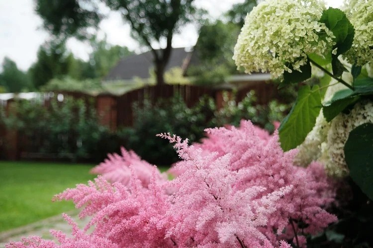 ВЕТЕР ПЕРЕМЕН