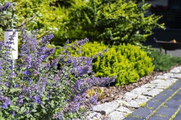 ВАЛЬС ЦВЕТОВ