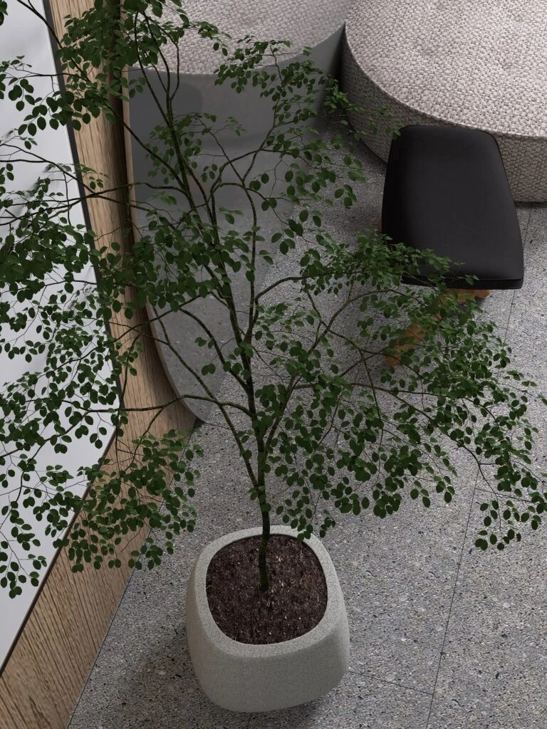 Офис. Щербакова 37