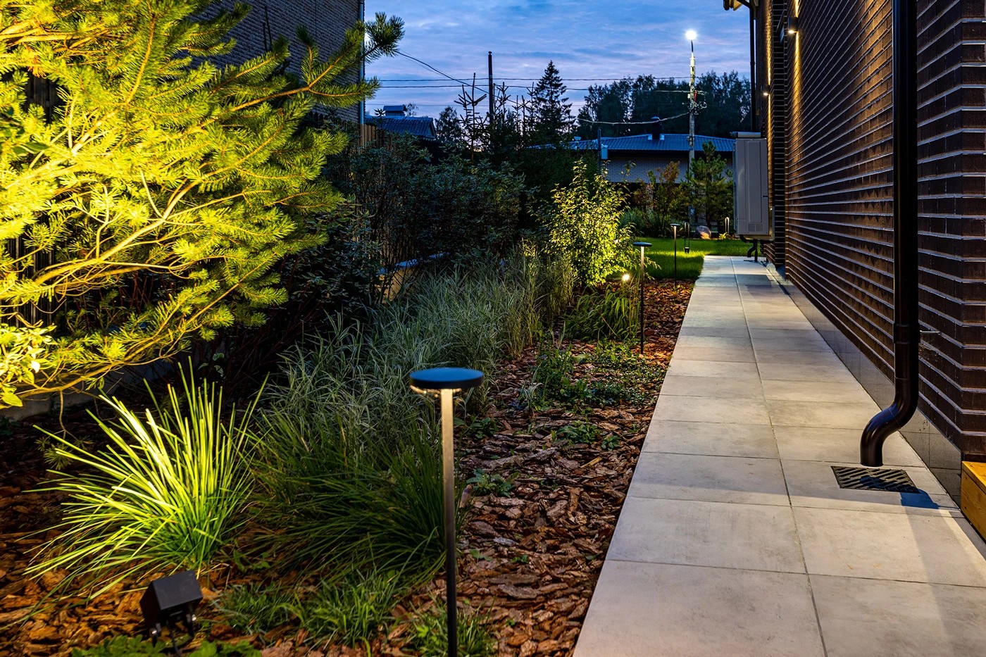 Петергофский сад