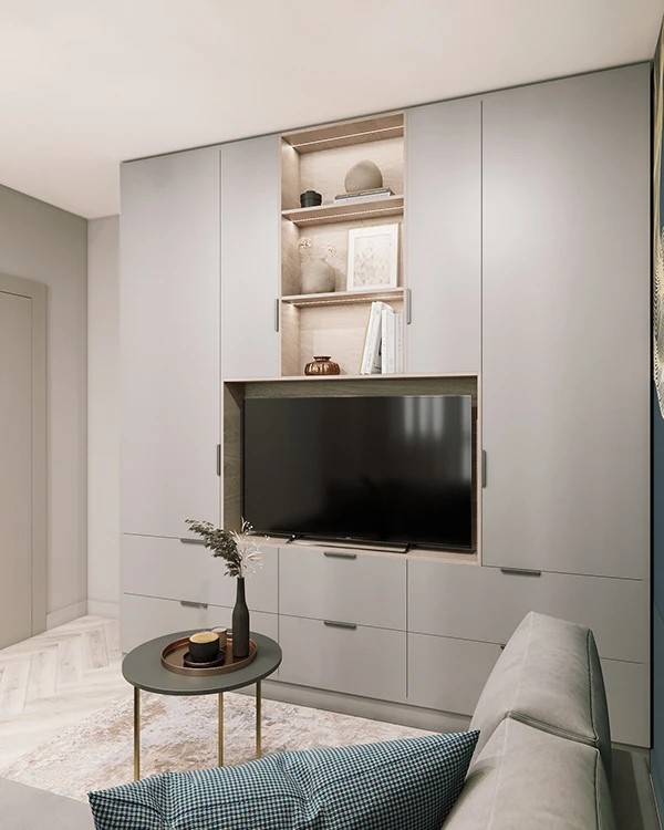 LIVING ROOM WITH BED ZONE