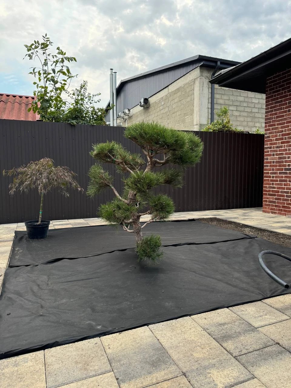 Полная трансформация частного участка