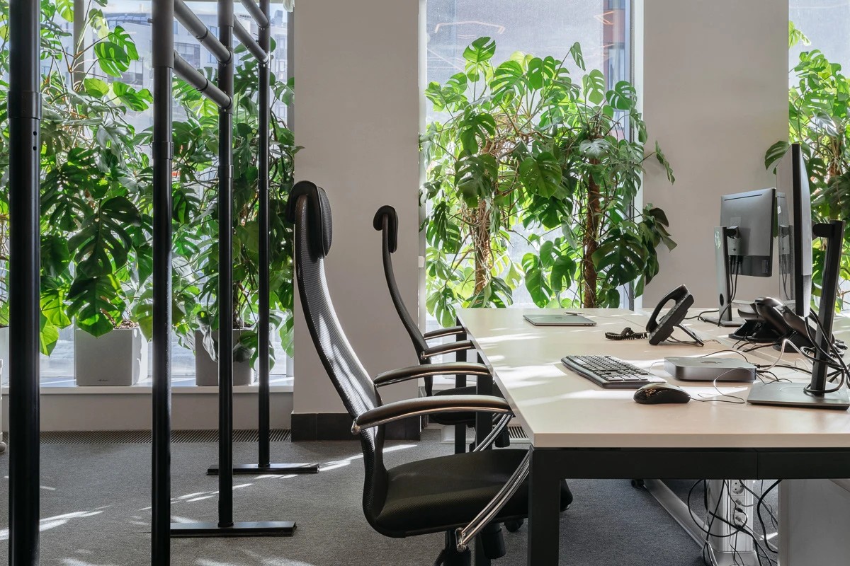 ОФИС LIPTSOFTСанкт-Петербург