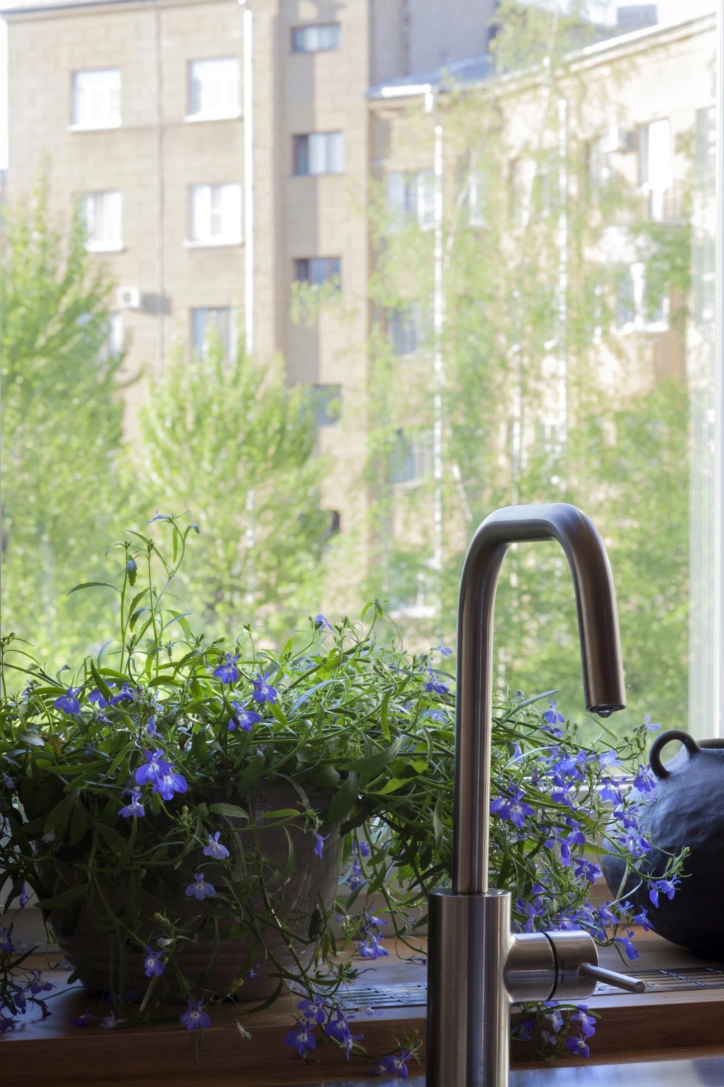 Проект "Капучино"