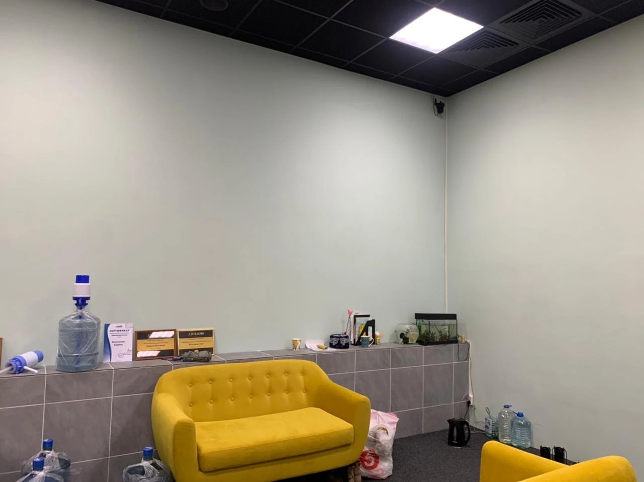 Офис компании и фирменные цвета