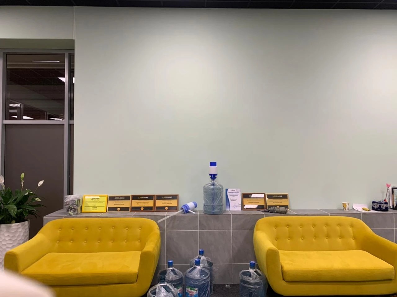 Офис компании и фирменные цвета