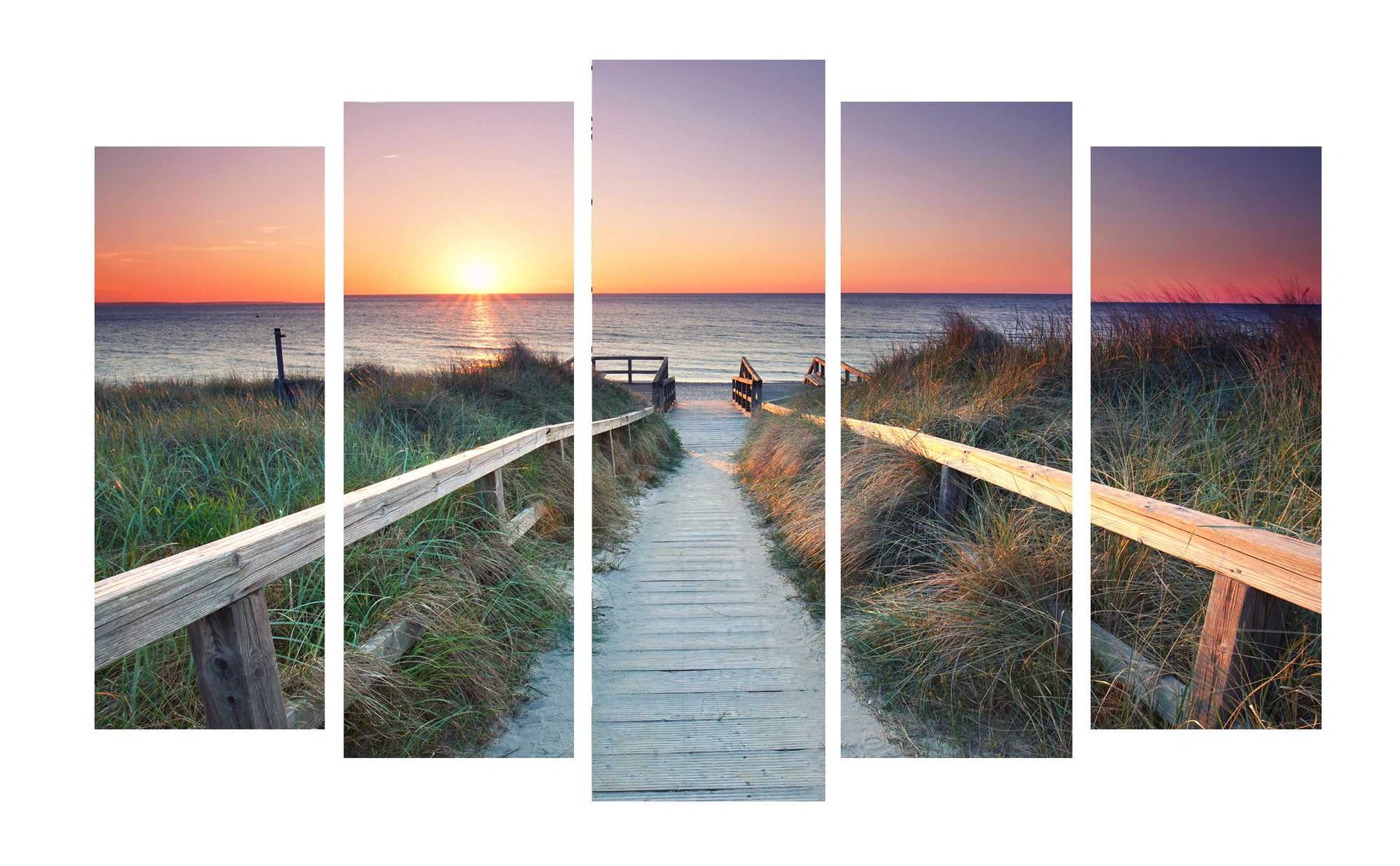 Модульные картины Toplight TL-PM0032