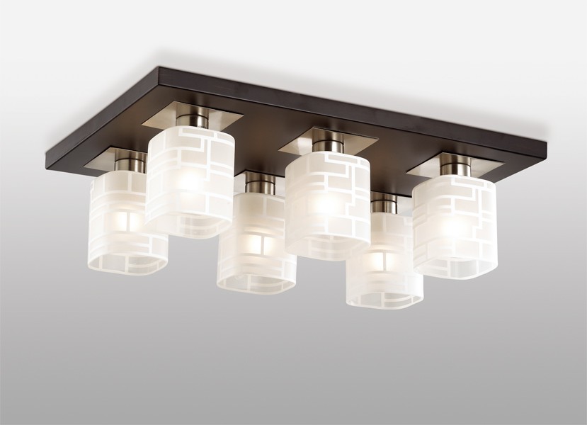 Потолочная люстра Odeon Light Campus 2615/6C