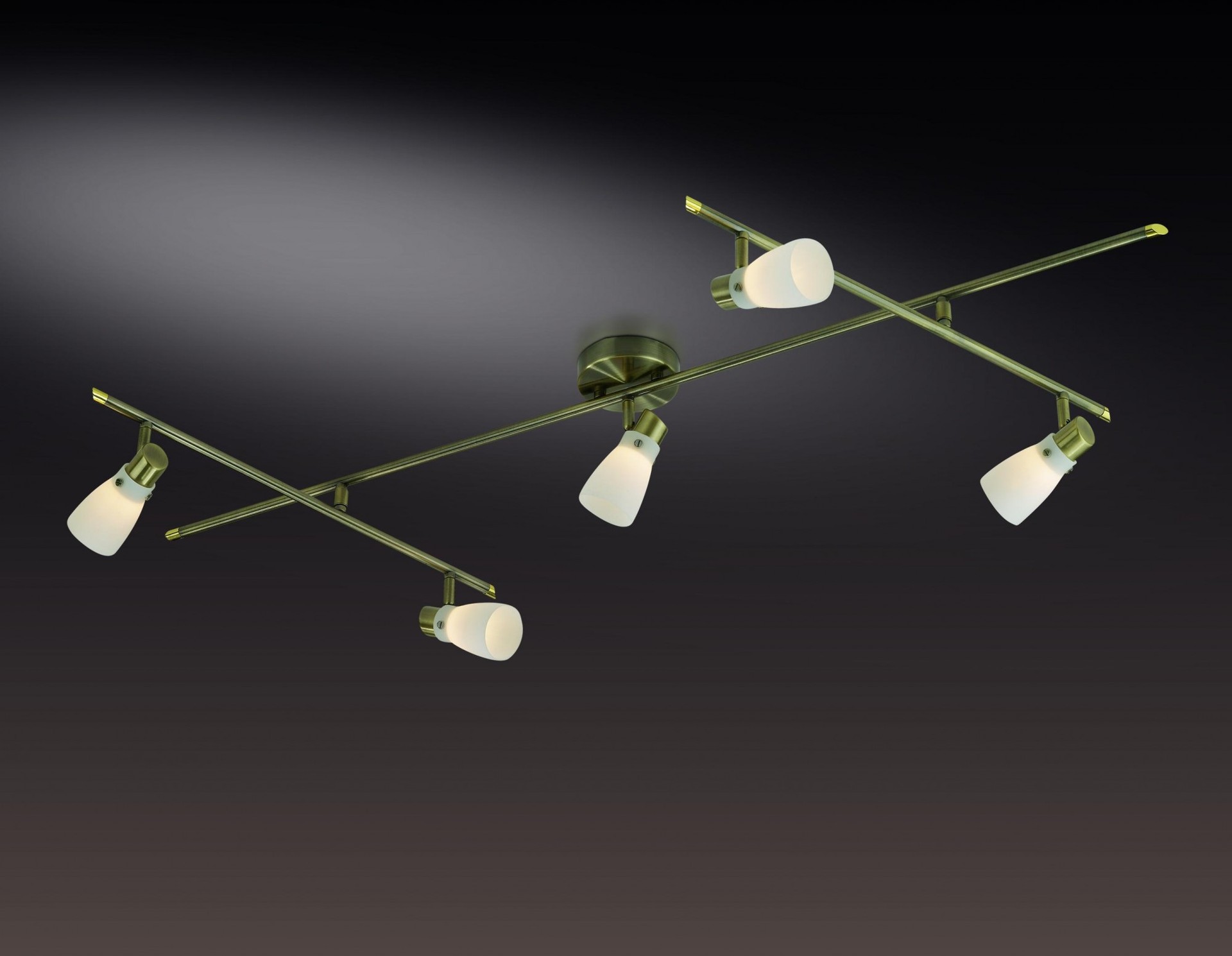 Светильник спот Odeon Light TERZA 2065/5C