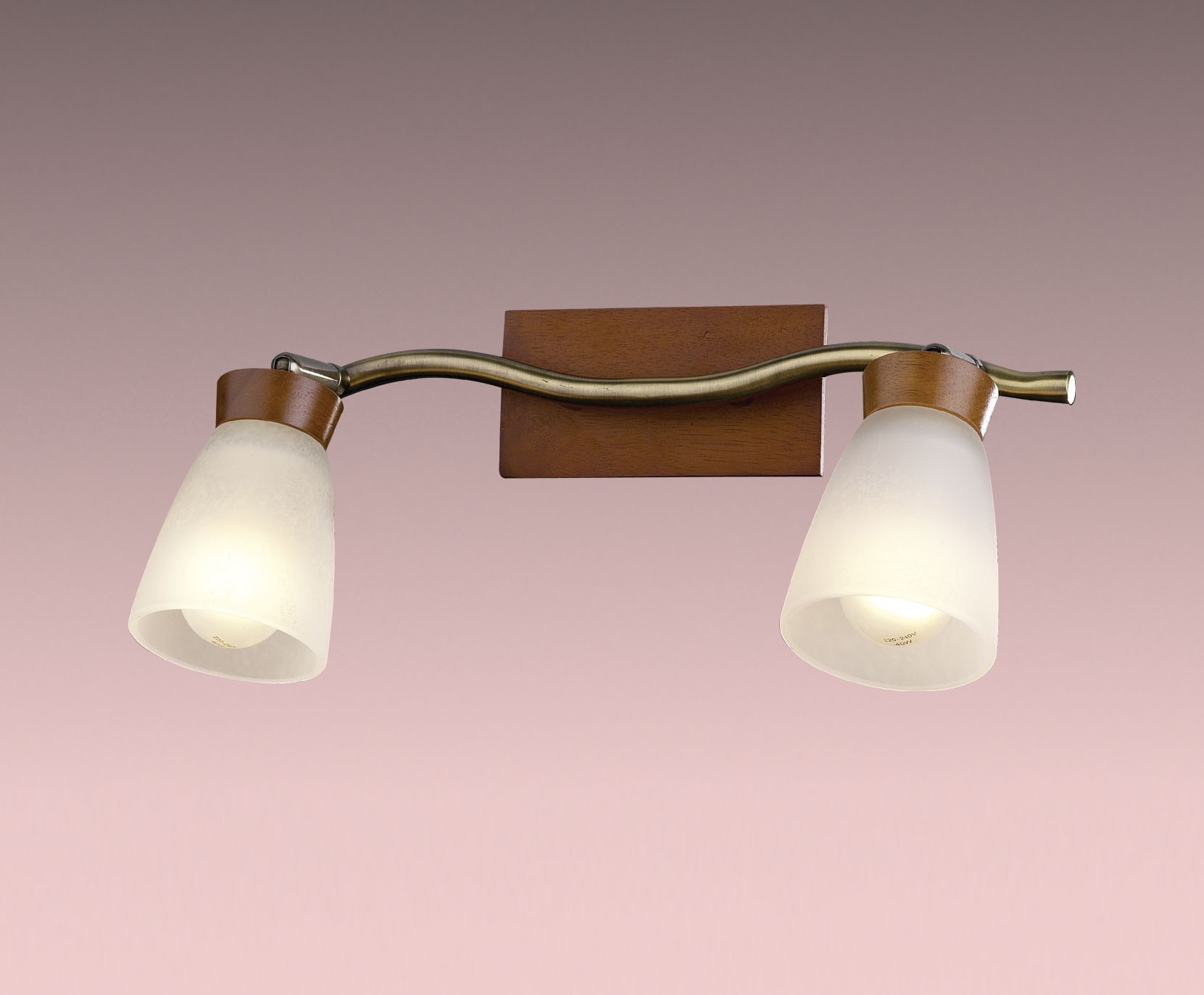 Светильник спот Odeon Light TARA 1971/2W