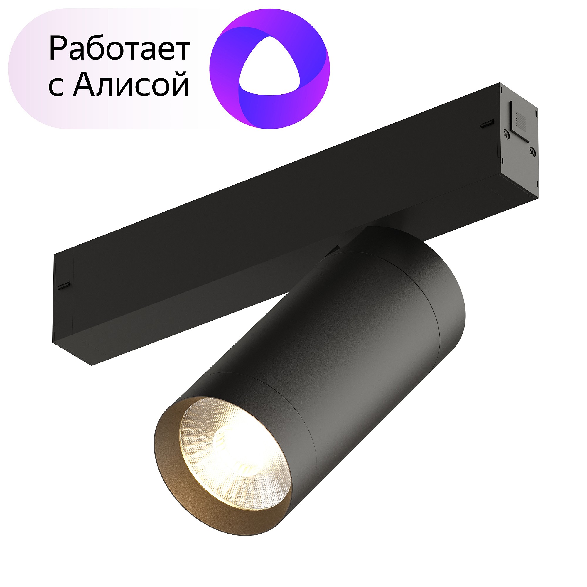 Трековый светильник Denkirs DK8020-BK