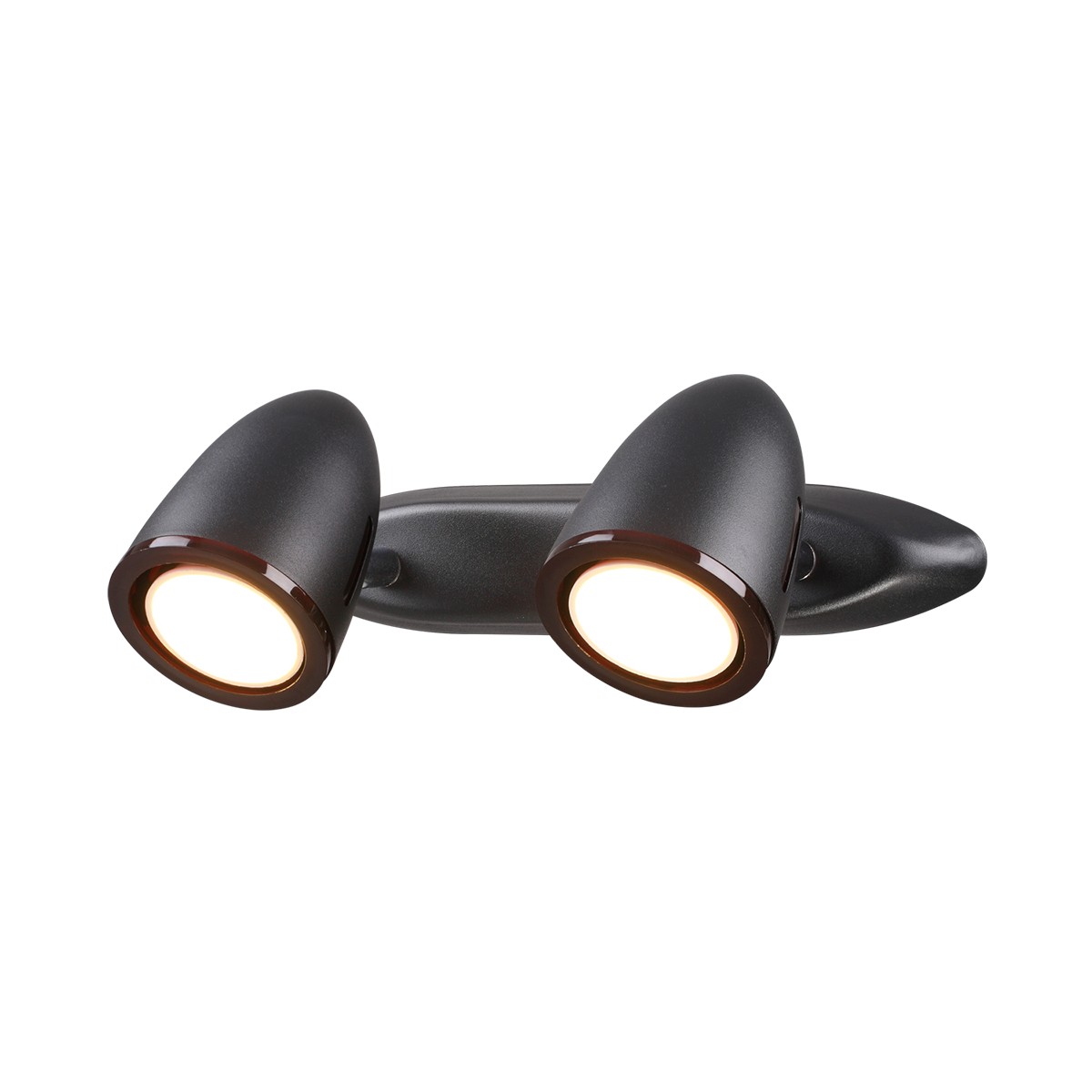 Светильник спот Odeon Light Imagio 3824/2W