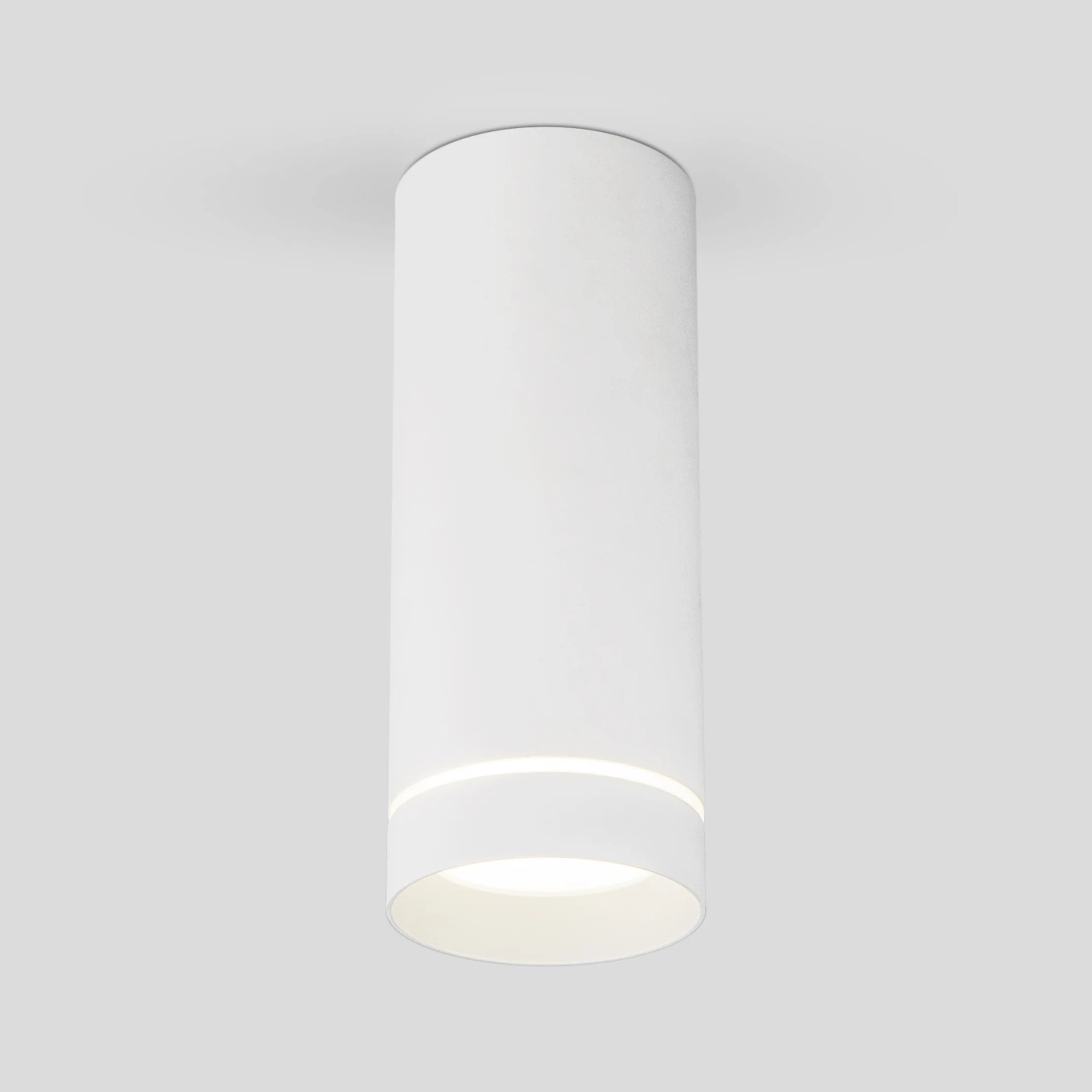 Накладной светильник Elektrostandard DLR022 DLR022 12W 4200K белый матовый