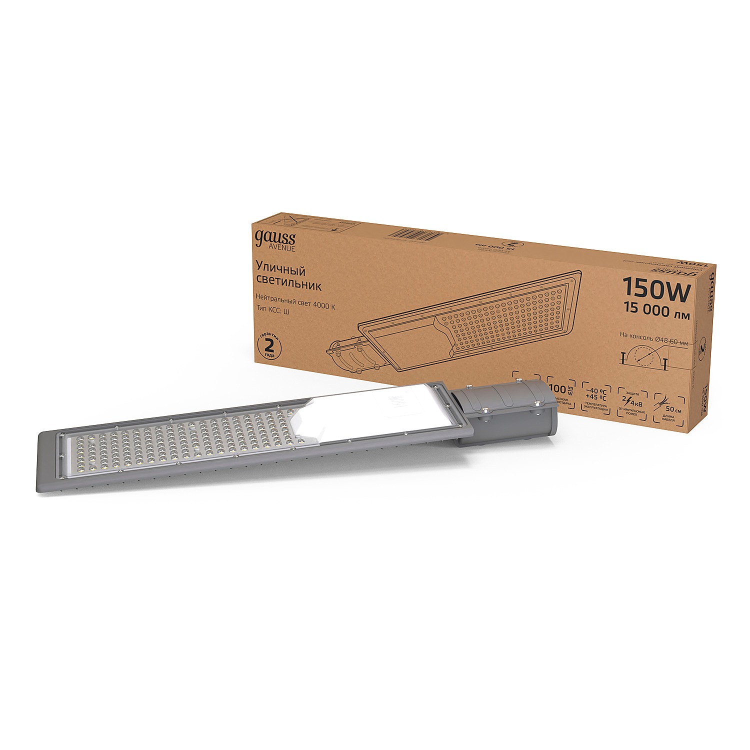 Консольный уличный светильник Gauss 629534205