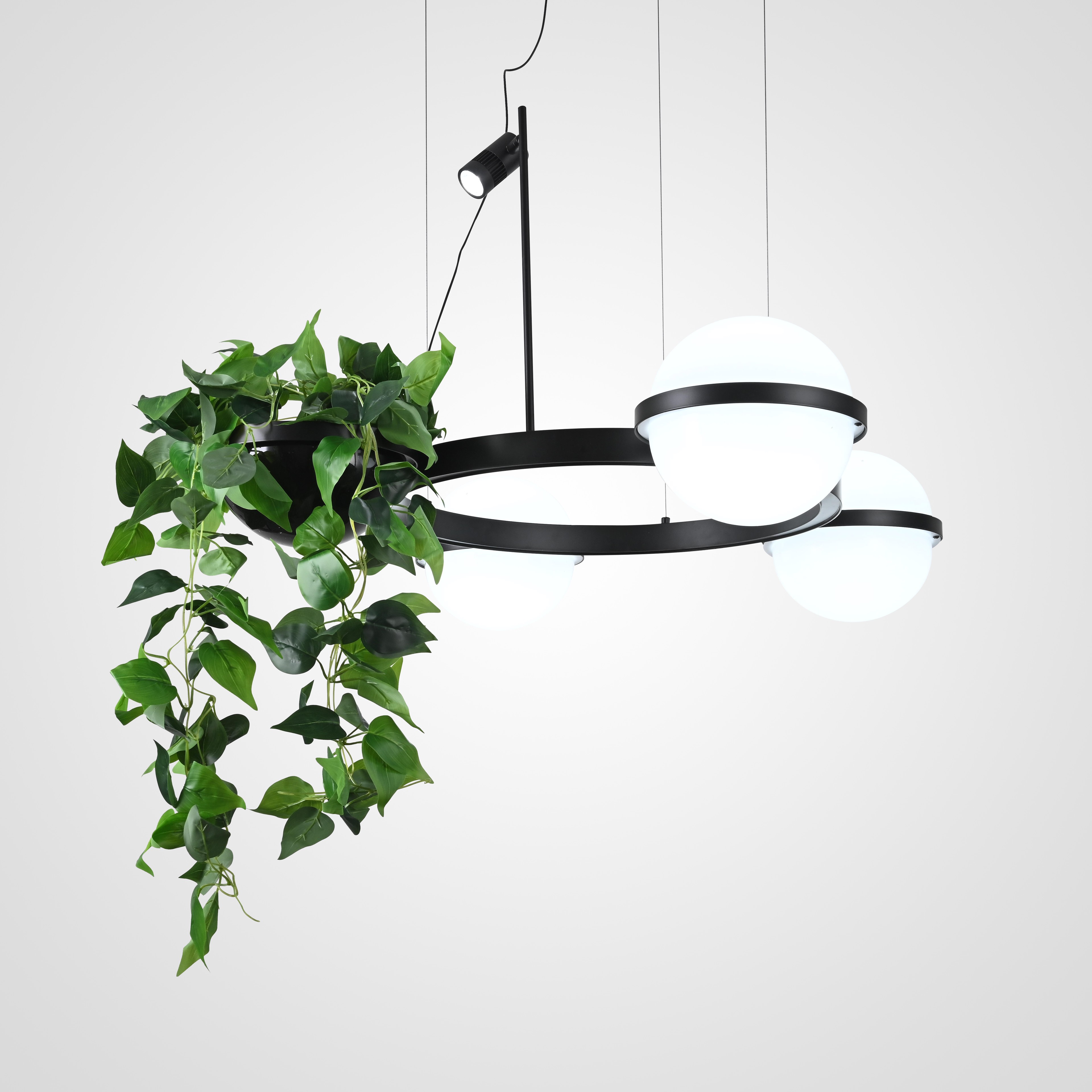 Подвесная люстра ImperiumLoft Palma01 248666-01