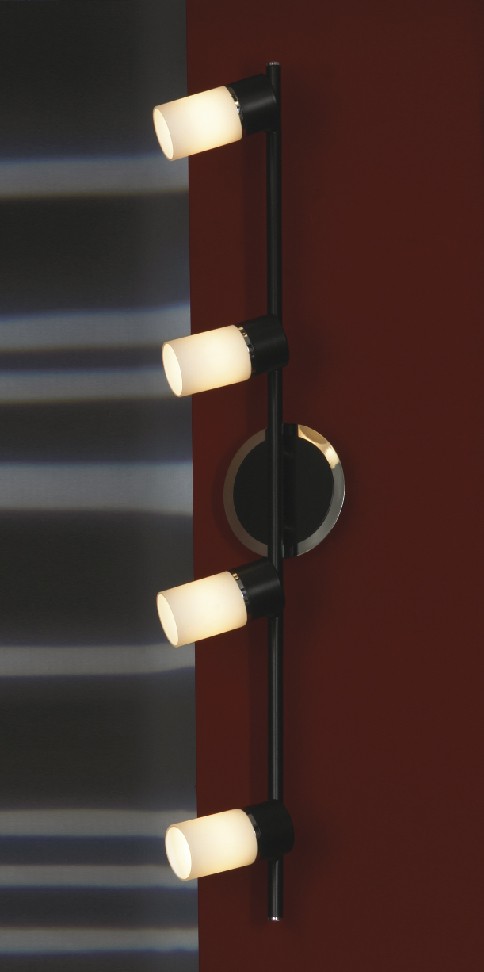 Светильник спот Lussole Siliqua LSQ-6109-04