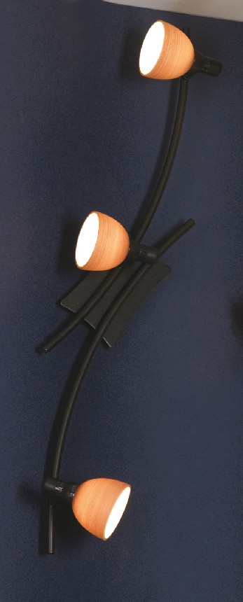 Светильник спот Lussole Spilimbergo LSA-3001-03