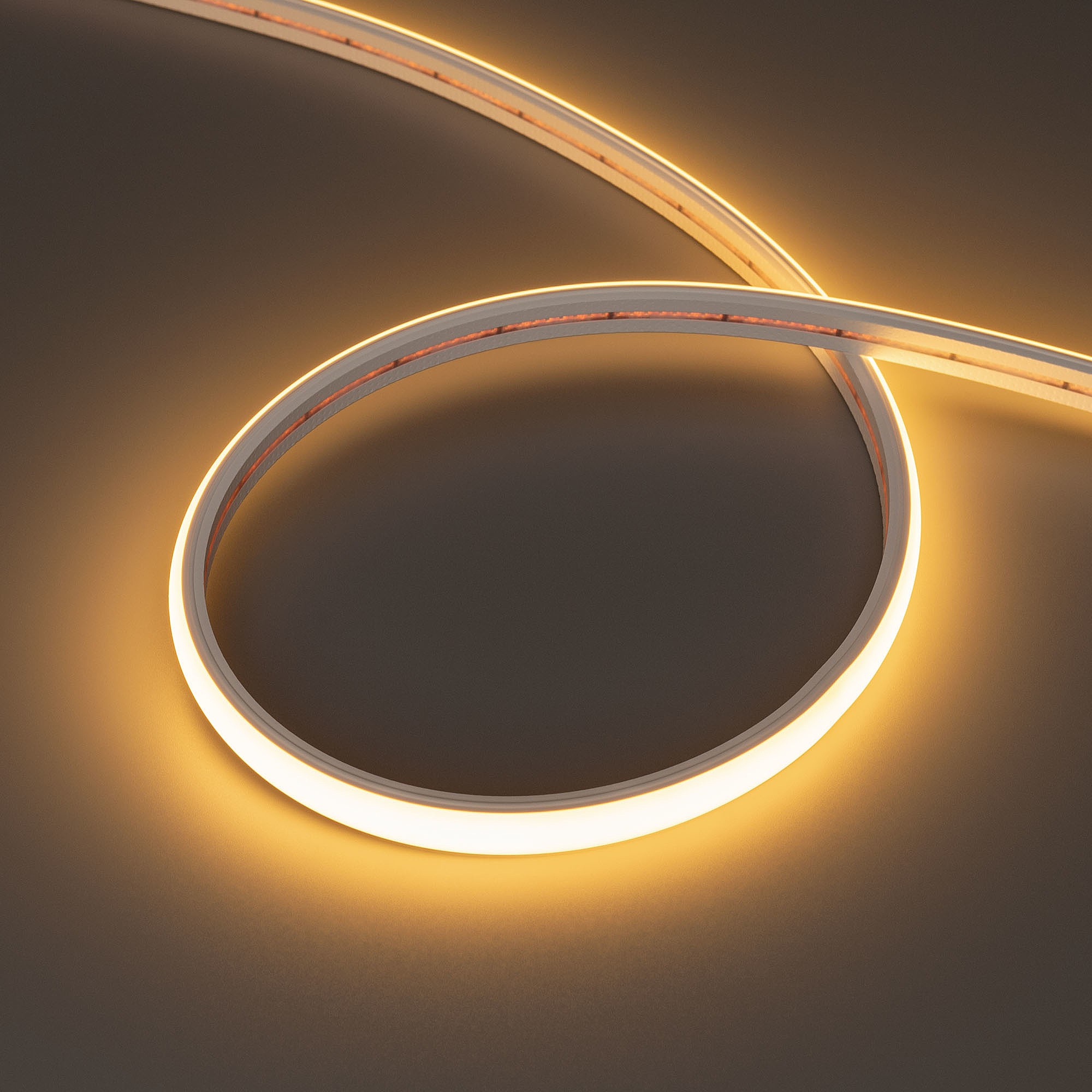 Светодиодный шнур Arlight Moonlight 039445