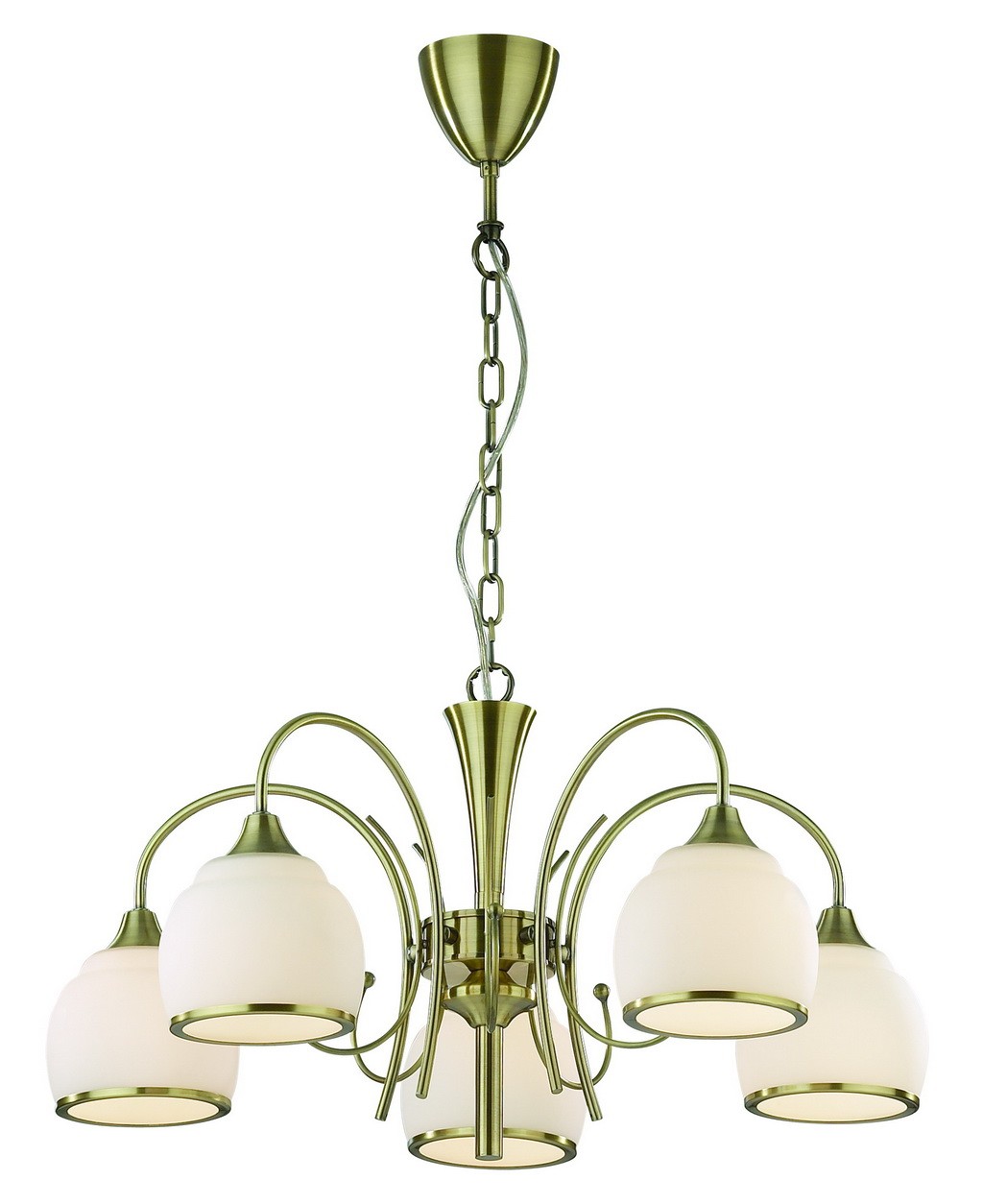 Подвесная люстра Favourite Isola 2586-5P