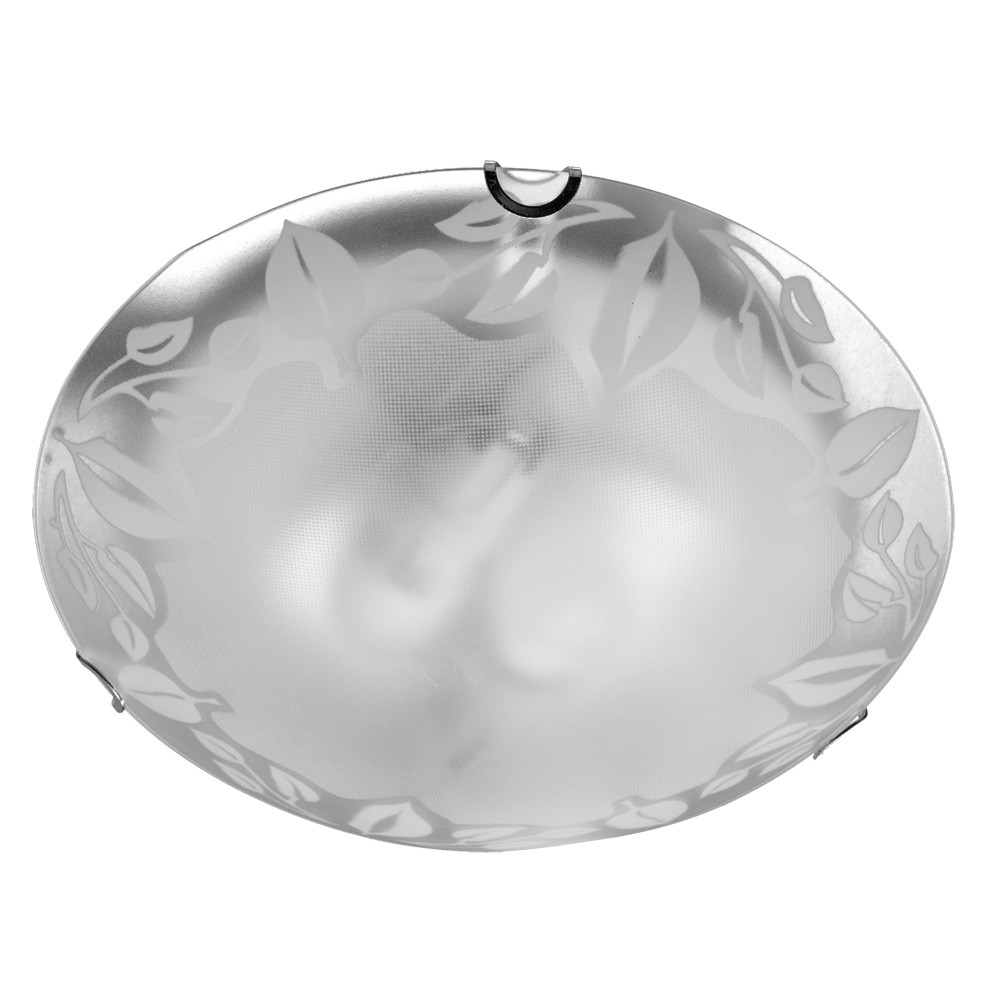 Настенно потолочный светильник Arte Lamp LEAVES A4020PL-2CC