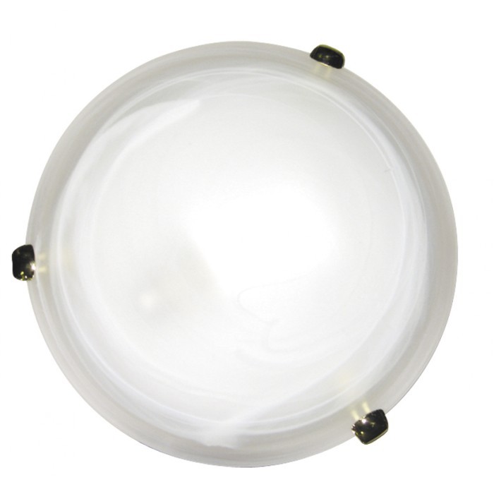 Настенно потолочный светильник Arte Lamp LUNA A3450PL-3GO