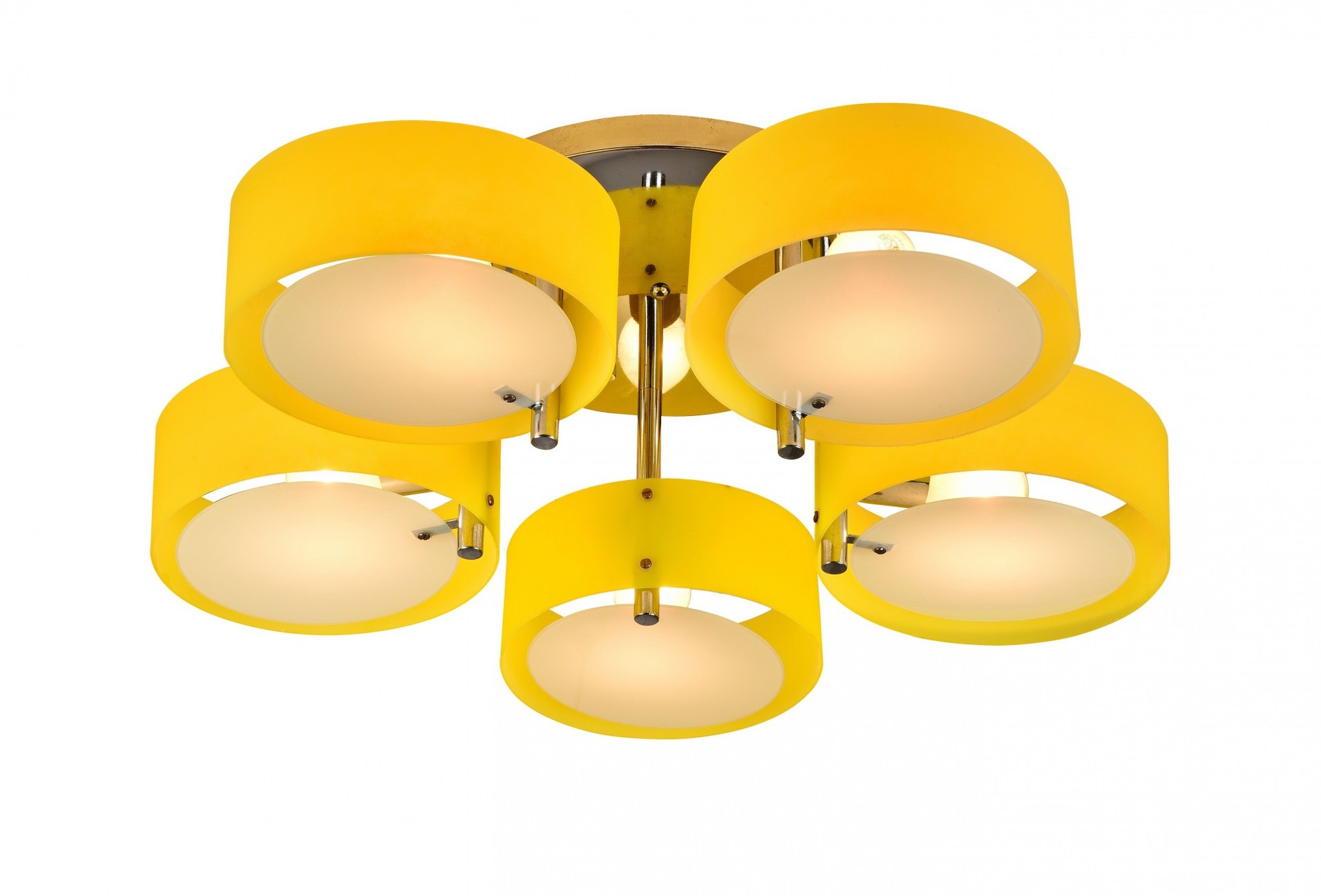 Потолочная люстра Evoluce Foresta SL483.092.05