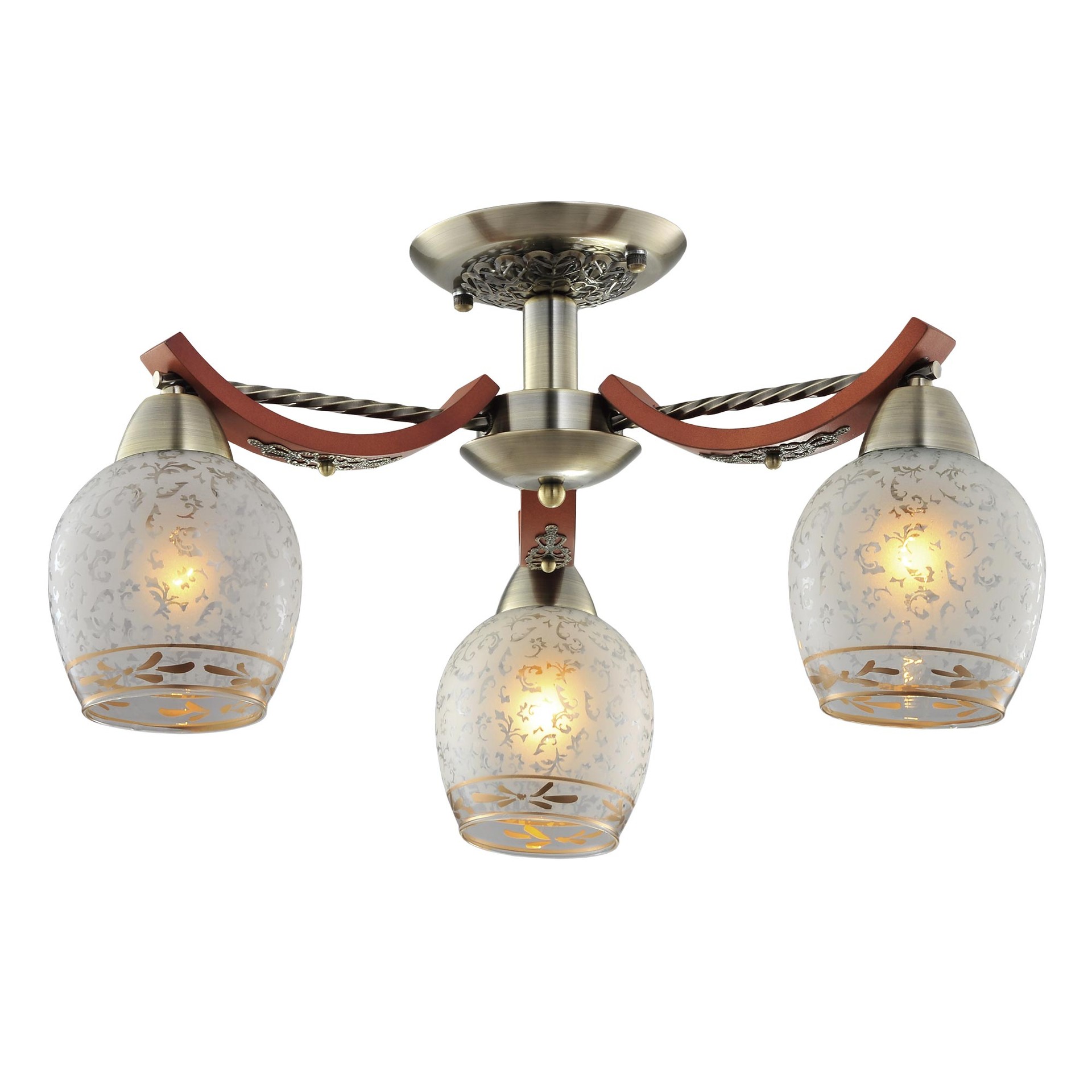 Потолочная люстра Citilux CL165133