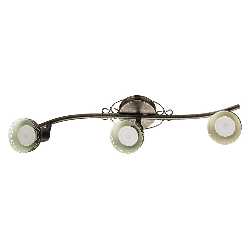 Светильник спот Arte Lamp FOCUS A5219PL-3BR