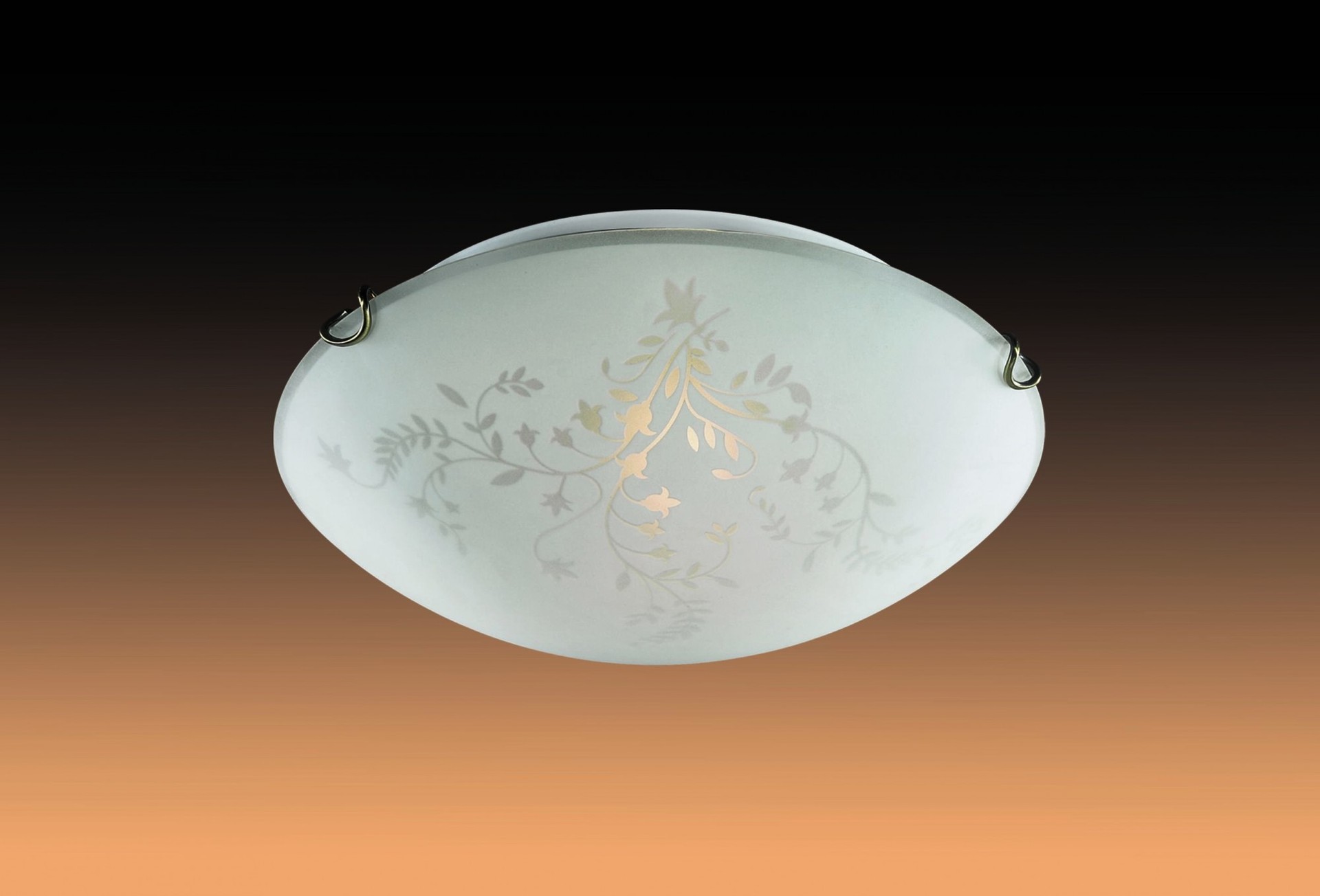 Настенно потолочный светильник Sonex 218