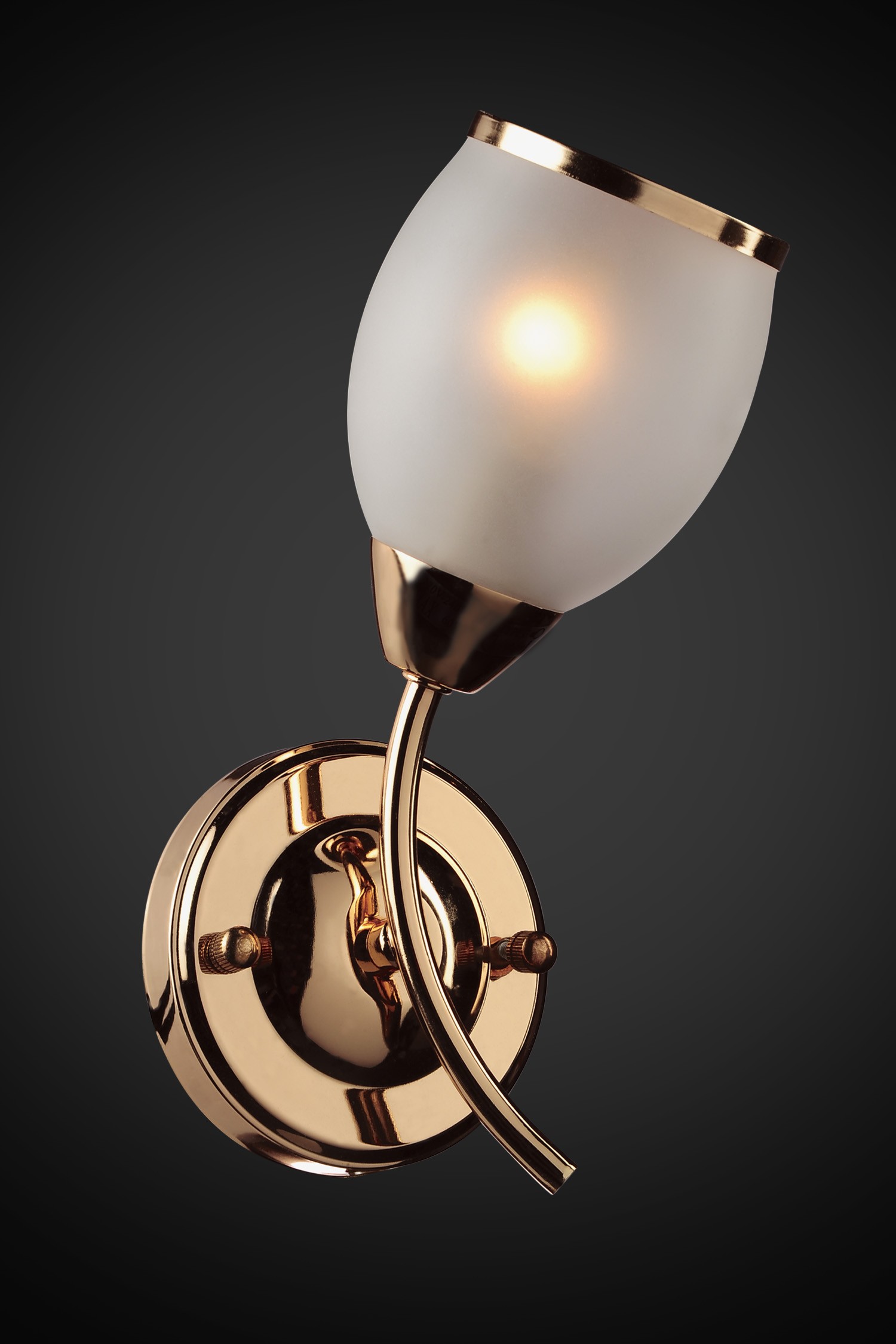 Настенное бра Максисвет 3-9109-1-FG E14