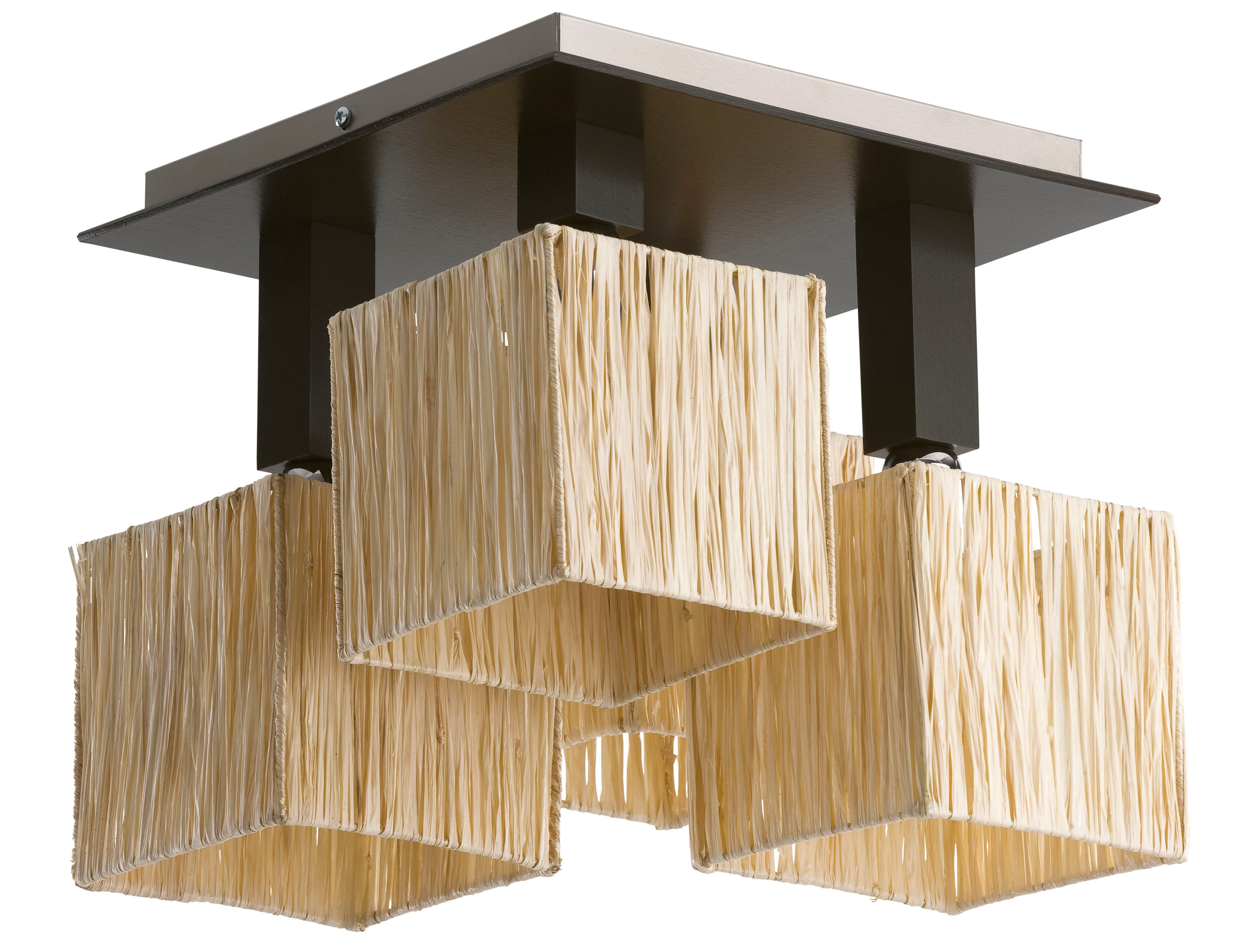 Потолочная люстра Alfa Peter 16625