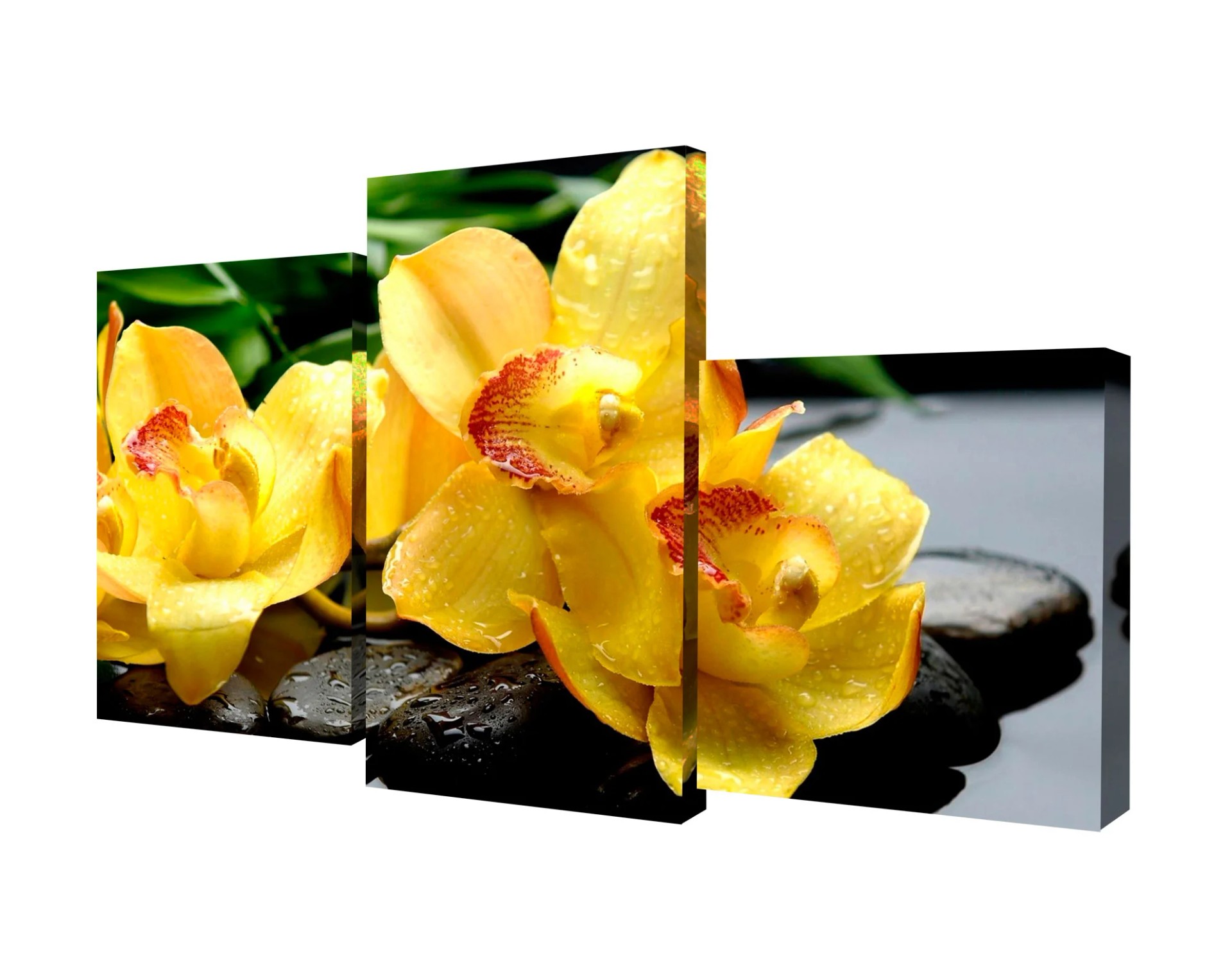 Модульные картины Toplight Цветы TL-MM1040