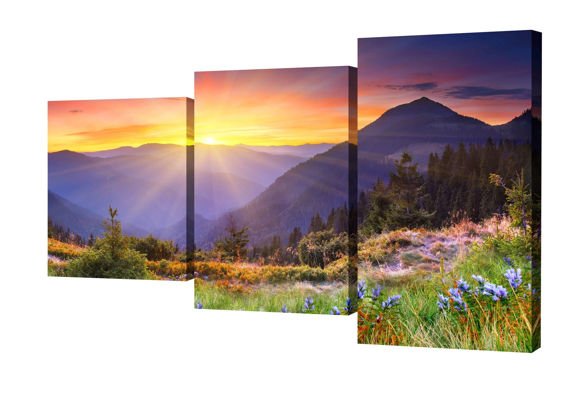 Модульные картины Toplight Пейзаж TL-MM1030